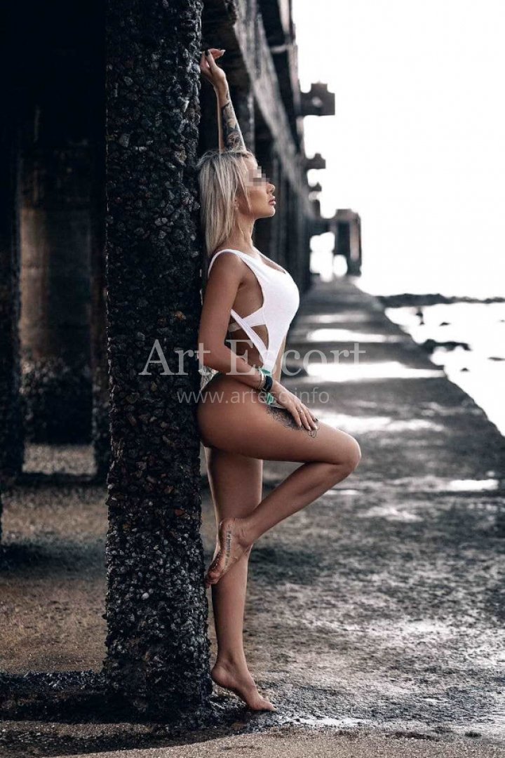 Большой выбор красоток в Palace & LOFT